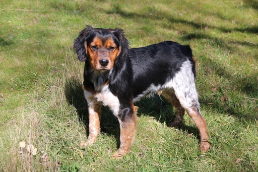 278287633 1647638728932623 3195515847782082883 N