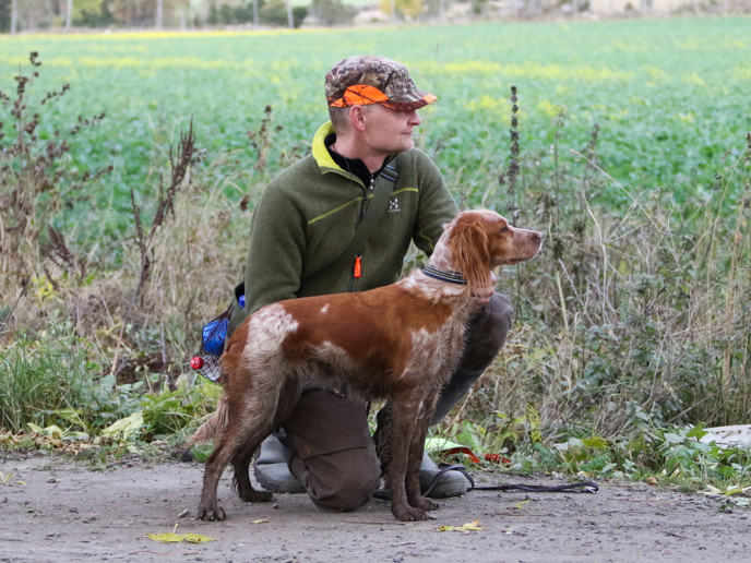 Almkullens Calla2015