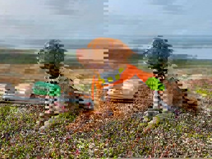 Whatsapp Image 2025 05 16 At 16.26.01