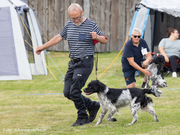 Almkullens Joker2025