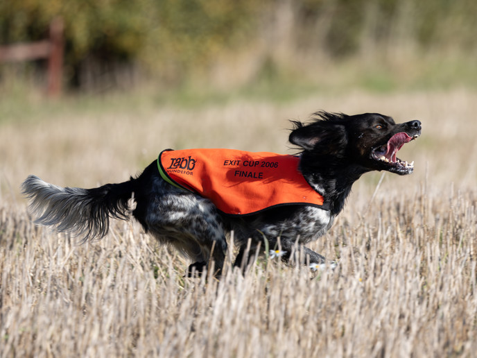 Lill Gemons Nebbiolo (6)