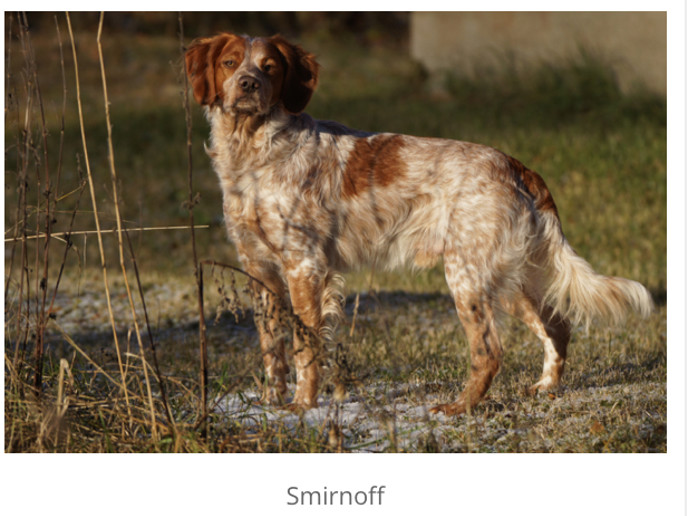 Kruttönna's Smirnoff (2)