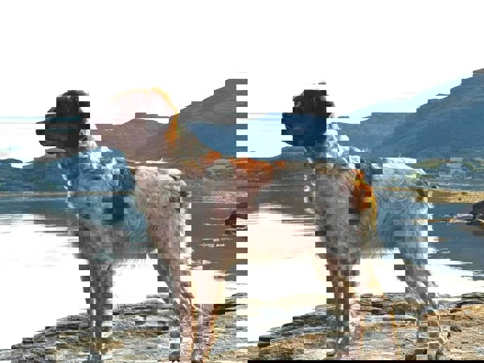 Point North Arne-Noggranne (1)