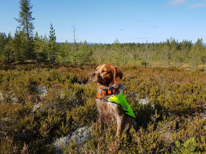 Grand’S Uniq Mascot