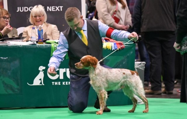 Eirams Frekke Freke (2)