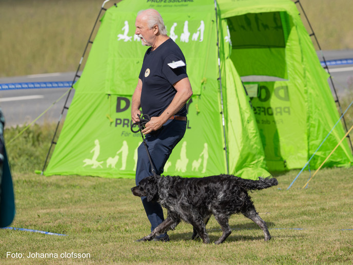 Eirams Gustav Gute Äg Thomas Borg2025