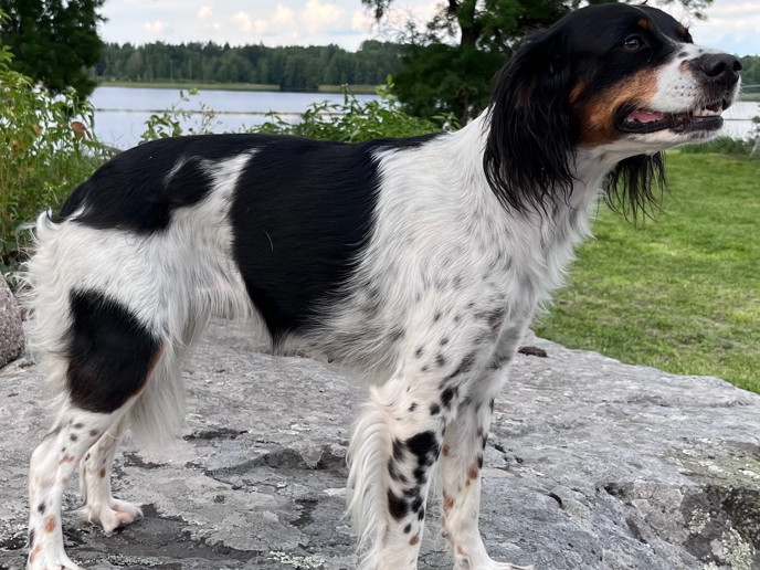 Processed 4032F45C B55C 499F ACE9 88D71B990A09