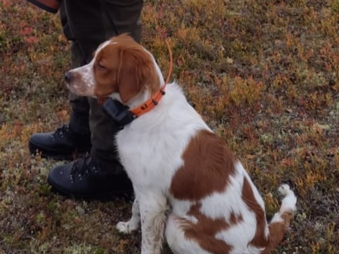 Screenshot 20250329 164724 Whatsapp