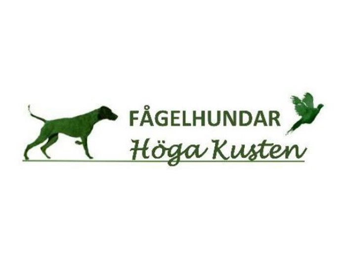 Fågelhundar Höga Kusten