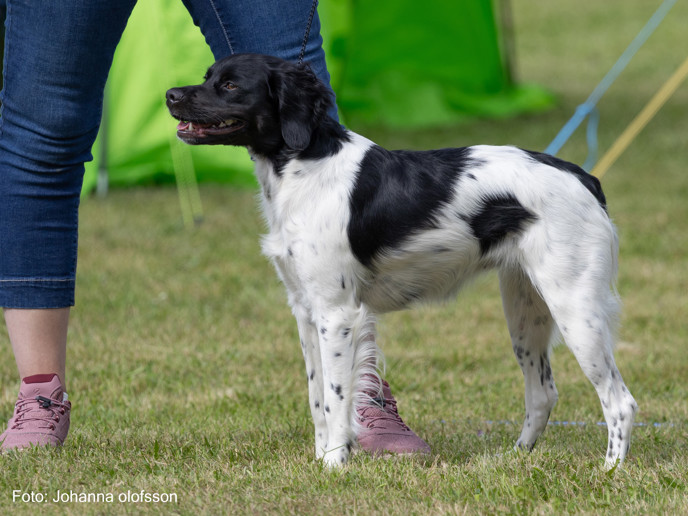 Vanity Pamer Äg Eva Olausson2025