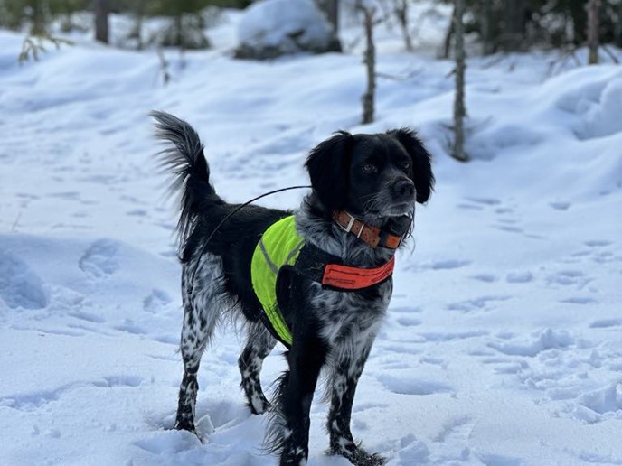 F56af0e2 A1a4 461E B0af 2Efef59a29bb