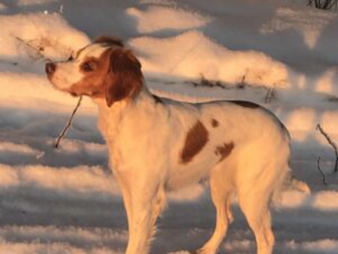 Elsa Oltokken 300X300