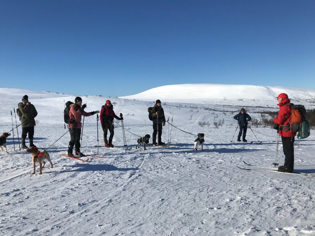 Info & anmälan till Bandvagn, Träning, Kost & Logi.