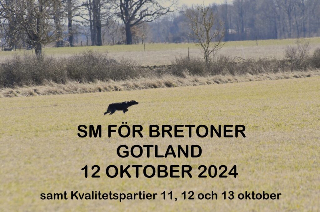 Träning, Vanligt Jaktprov med Kvalitetspartier och Breton-SM. Ord Anm tiden har gått ut. Platser finns kvar! Först till kvarn gäller nu!